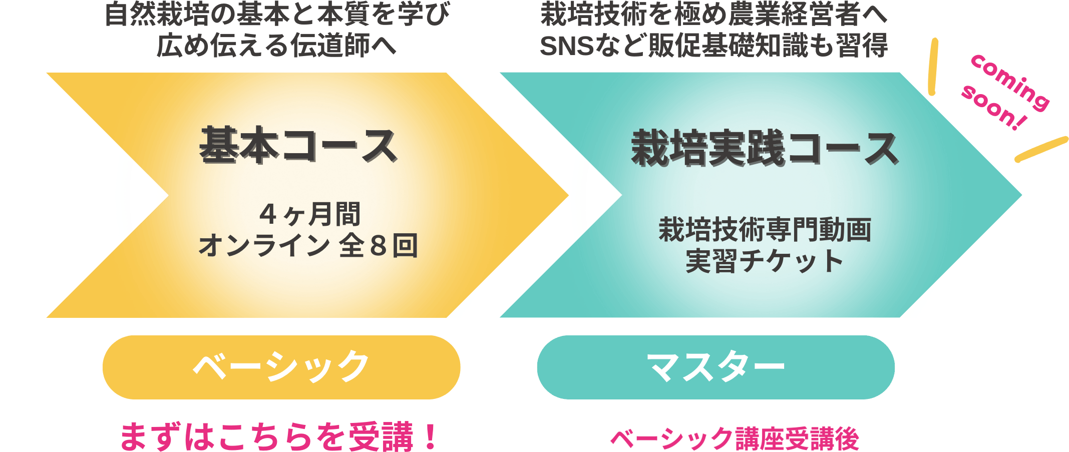 自然栽培の基本と本質を学び広め伝える伝道師へ 6期 5〜8月・4ヶ月間 オンライン全8回 ベーシック まずはこちらを受講！　栽培技術を極め農業経営者へ SNSなど販促基礎知識も習得 栽培実践コース 栽培技術専門動画・実習チケット マスター 8月頃提供開始予定